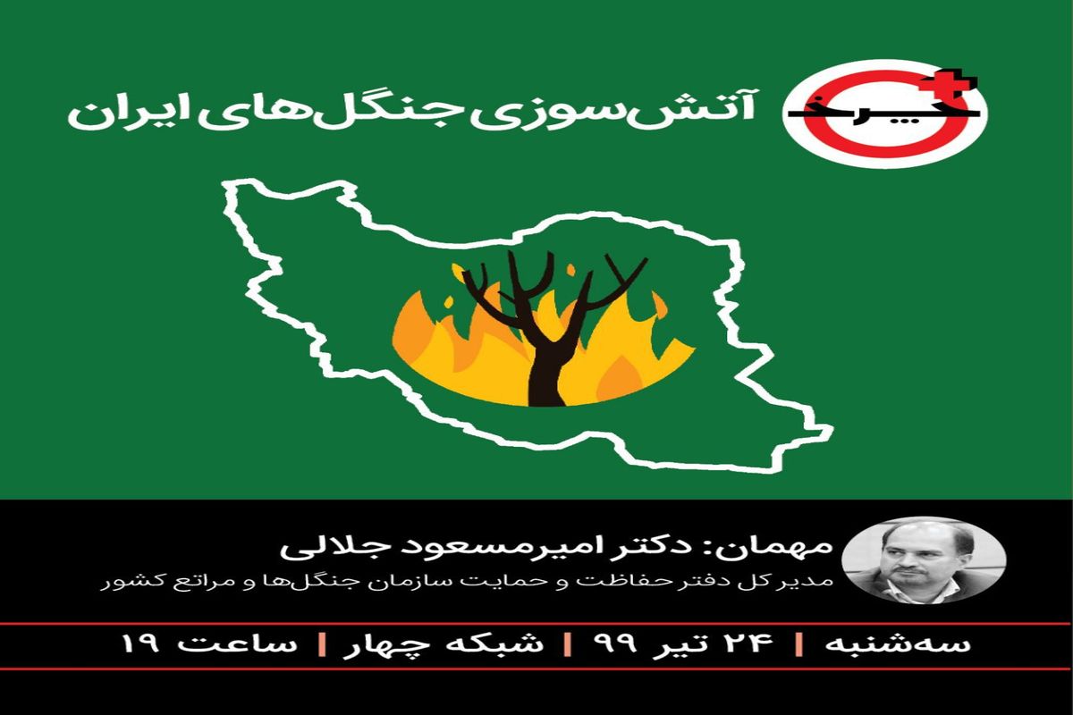 چرایی آتش‌سوزی جنگل‌های ایران در«+چرخ»