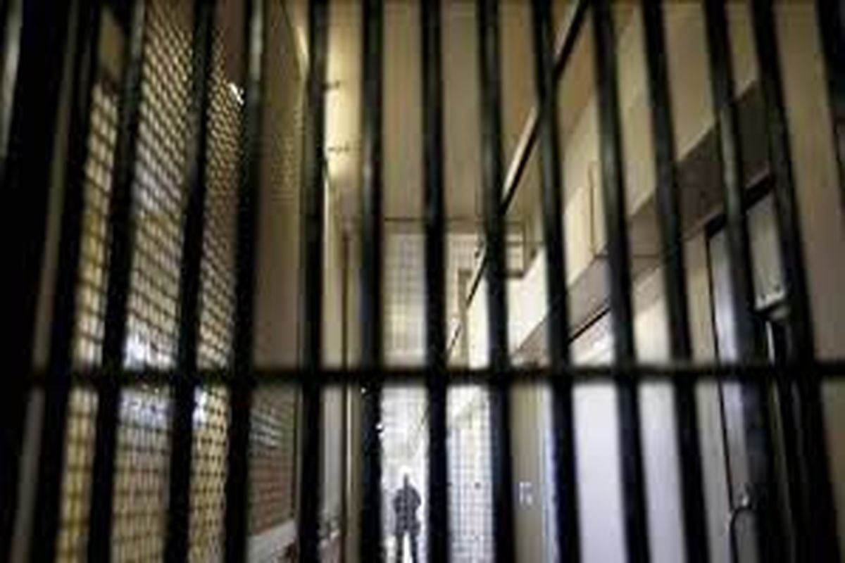 یک ایرانی‌الاصل به ۴ سال حبس محکوم شد