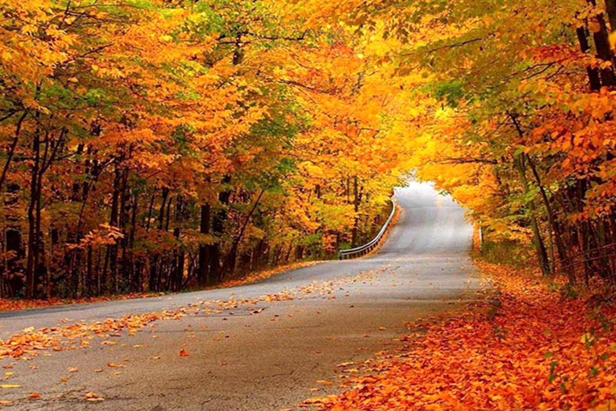 پایان کشمکش ها بر سر مالکیت اراضی جنگلی حاشیه گرگان / سند ۲۰۸ هکتاری جنگل النگدره صادر شد