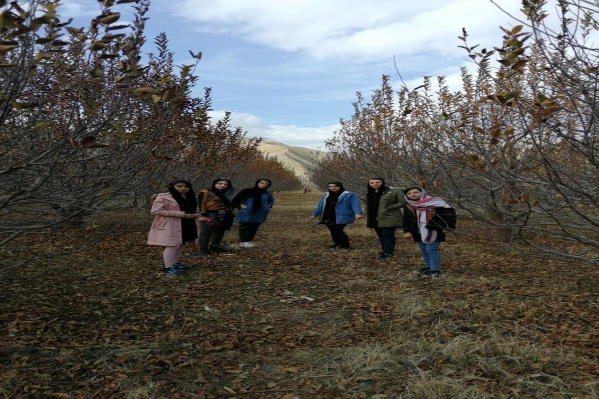 وعده شیرین وزیر برای دختران شین آباد/ از درمان سخت تا سهمیه کنکور و استخدام در دولت