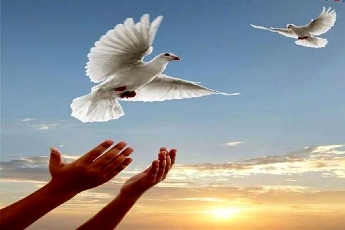 چهارمین بازگشت به زندگی امروز در گرگان/ بخشش در چند قدمی قصاص