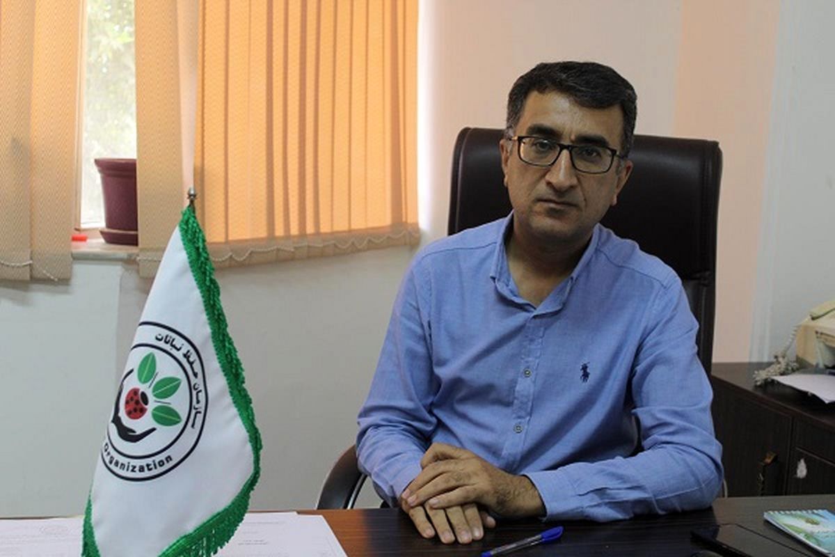 توزیع سم تقلبی موونتو