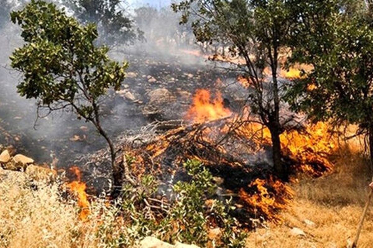 ۳۵ هزار هکتار مناطق جنگلی استان از لحاظ آتش‌سوزی در وضعیت بحرانی قرار دارد