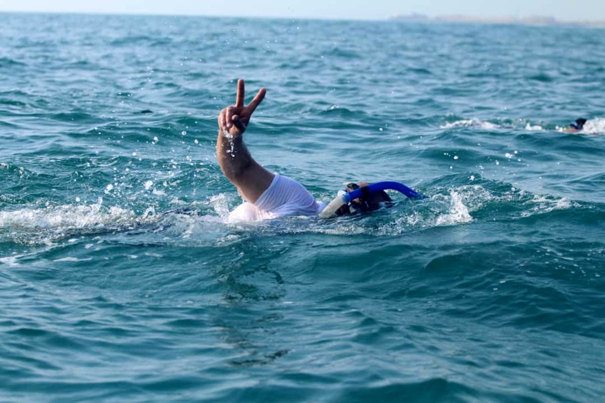 استخر آزادی از امروز میزبان ملی‌پوشان شنا