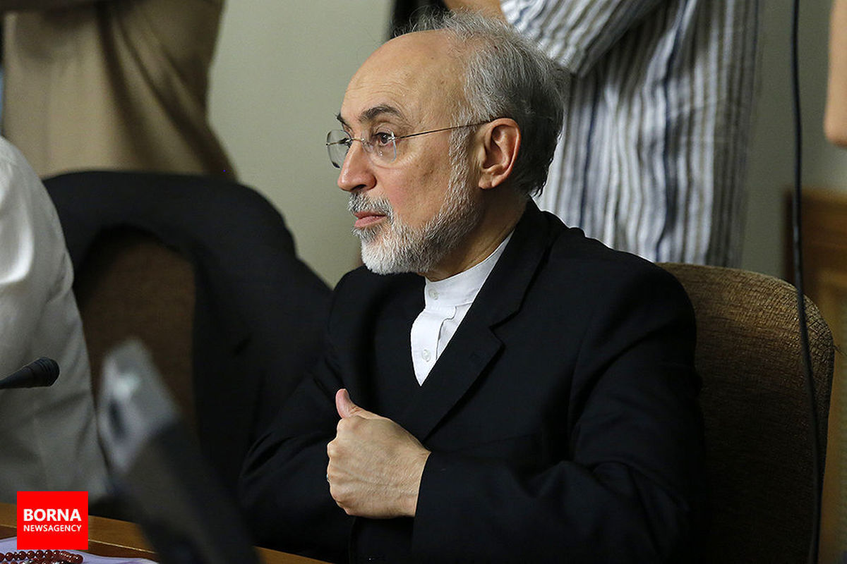 رئیس سازمان انرژی اتمی به عراقچی تسلیت گفت
