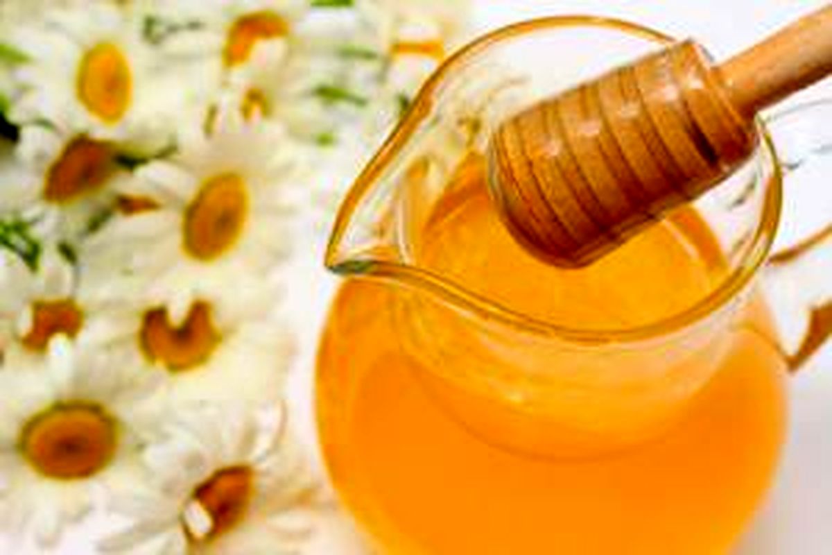 تولید بیش از ۲۰ تن عسل در تایباد