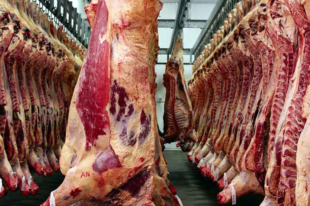 تولید گوشت قرمز در ماه تیر ١٣٩٩ در کشتارگاه‌های رسمی کشور به ٣٦,٢ هزار تن رسید