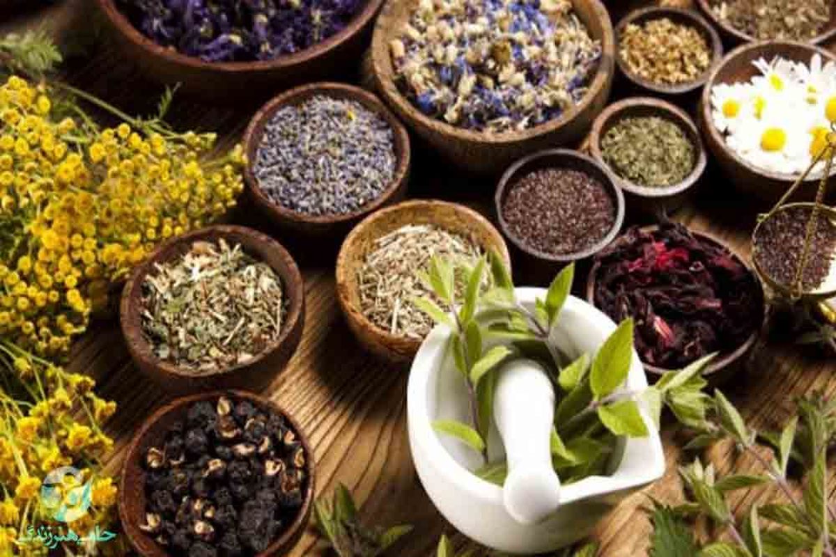 جهش صادرات گیاهان دارویی/ رشد ۱۲۰ درصدی ارزش صادرات گیاهان دارویی