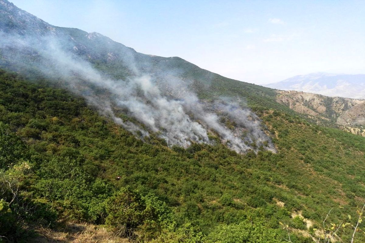 مهار آتش سوزی در جنگل های کردستان