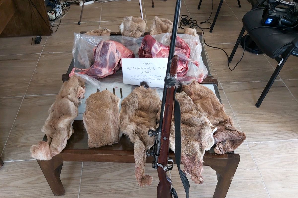 دستگیری شکارچی کل وحشی در سیرجان