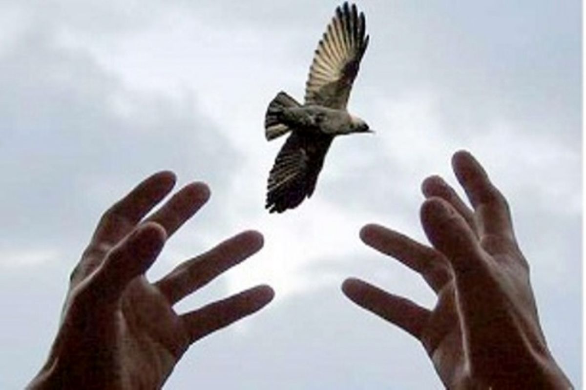 زندگی بخشی دوباره به قاتل فرزند/ اولیای دم از حق قانونی و شرعی خود گذشتند