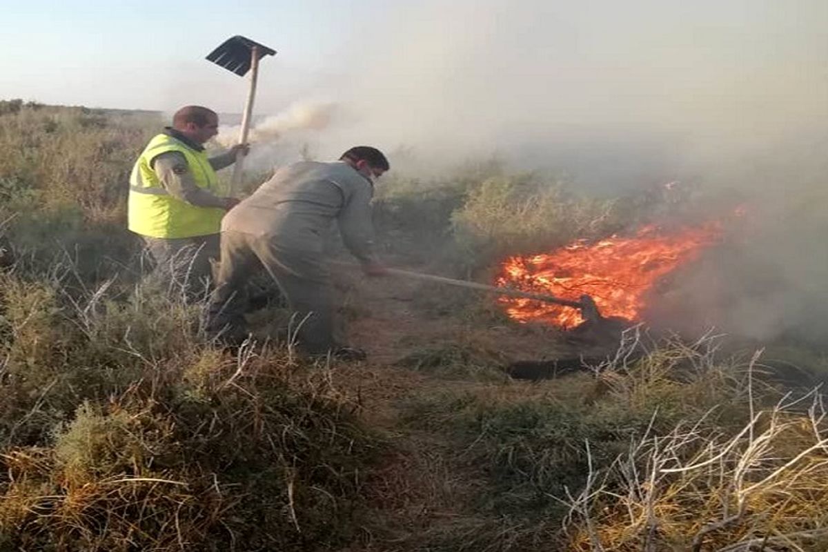 ۱۰ هکتار از مراتع تالاب هامون در آتش سوخت