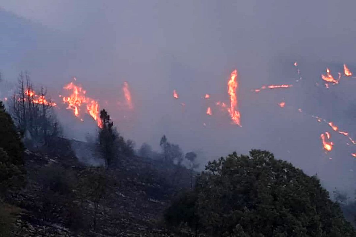 مهار آتش سوزی در الموت غربی