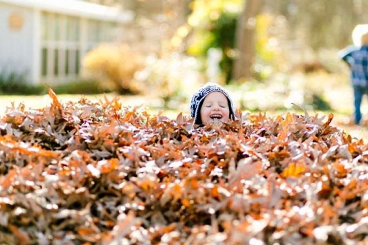 این افراد پاییز خطرناکی در پیش دارند!