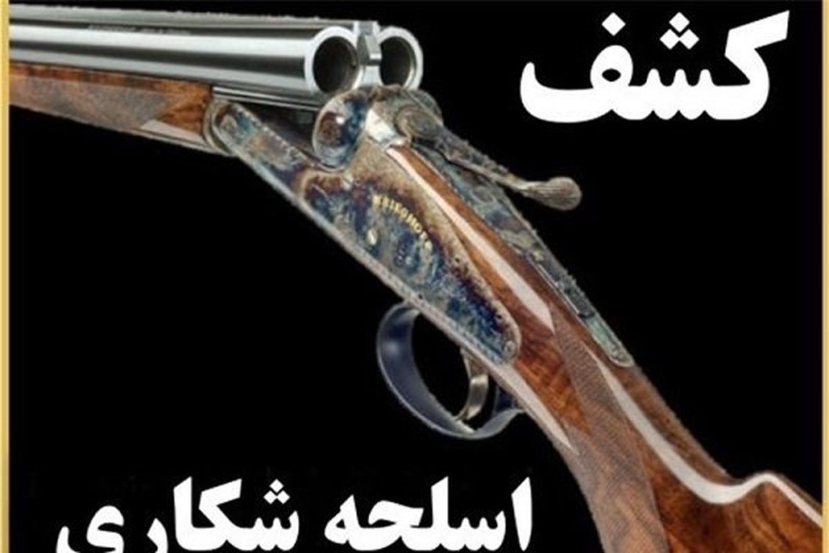 کشف دو قبضه اسلحه شکاری در مهران