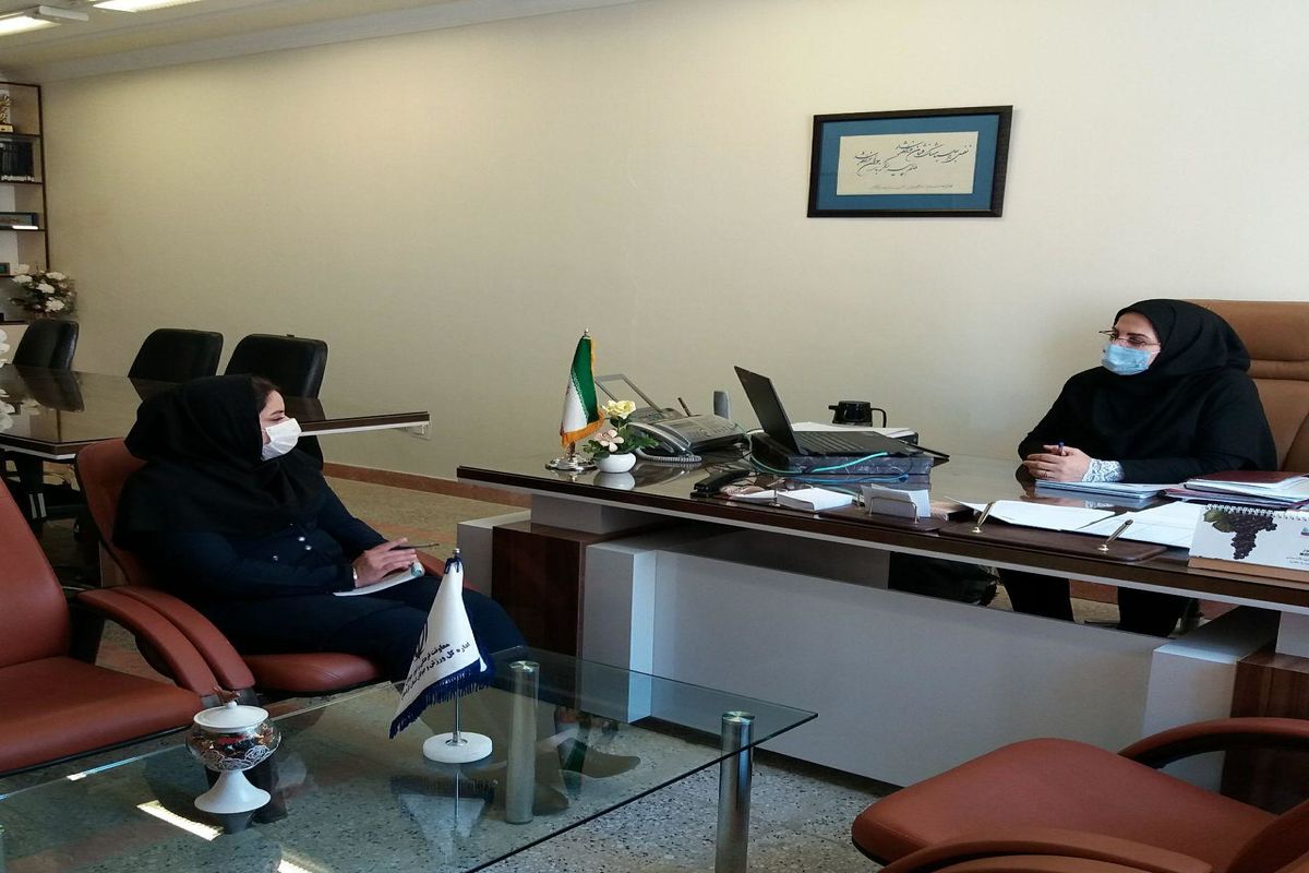 سمن ها نباید صرفا نقش شرکت های خدماتی را ایفا کنند/ تسهیل گری در پذیرش طرح های کارآفرینی سمن ها