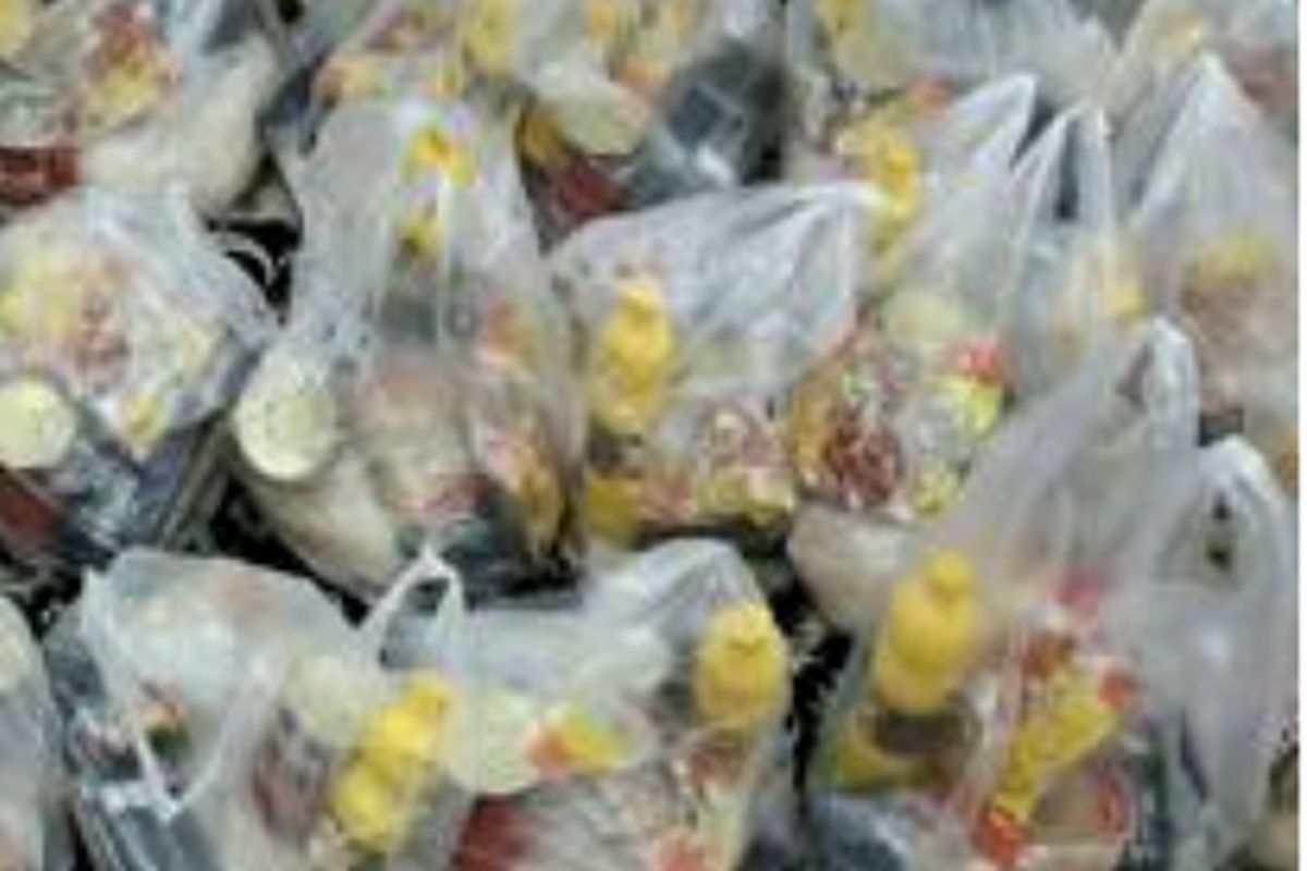 توزیع ۵۰۰ بسته کمک معیشتی بین نیازمندان همزمان با اربعین حسینی