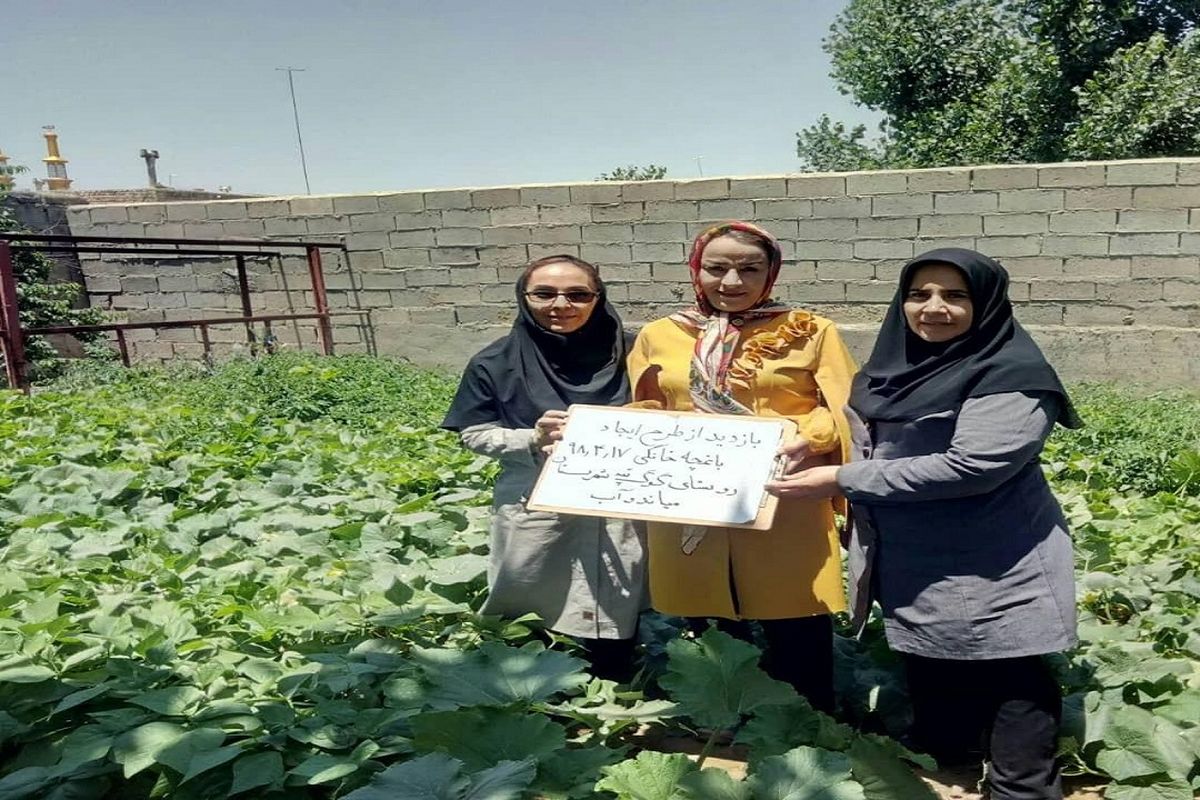 آموزش ۲۷۲۷ نفر از زنان روستایی در طرح بهبود تغذیه و ایجاد باغچه‌های سالم خانگی