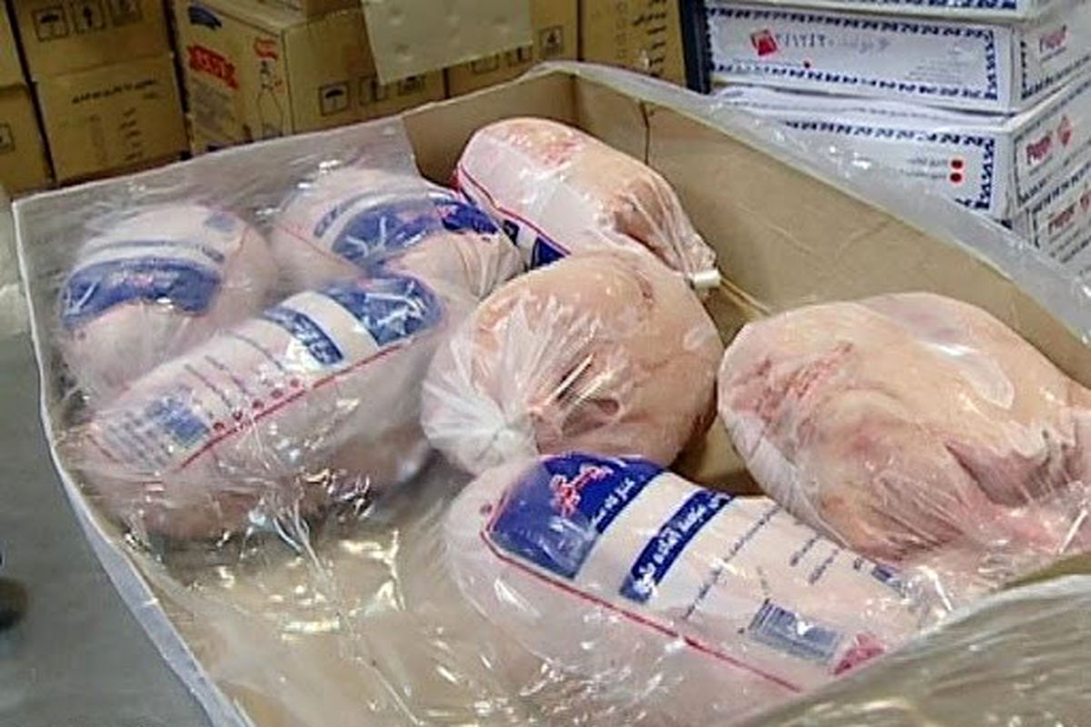 توزیع روزانه ۱۰ تُن مرغ منجمد در کردستان