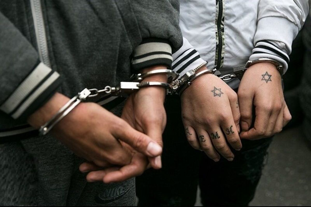 دستگیری ۲۸۰ نفر از مخلان نظم و امنیت در فارس