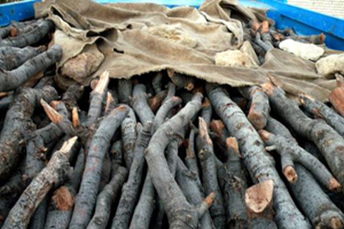 بسته شدن راه قاچاق چوب در رودان