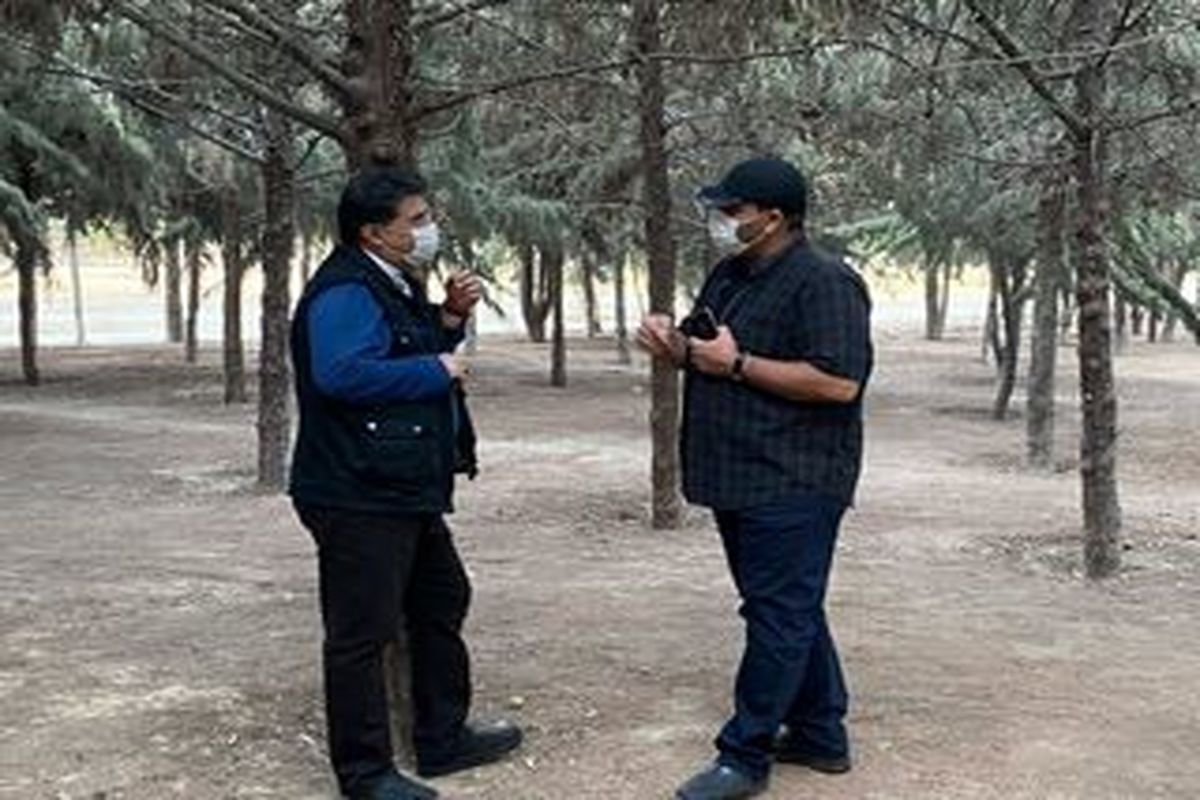 از بهزیستی کاشمر تا تیم فوتبال پیکان/ پیشرفت نوجوانی که با مهارت آموزی رنگ دنیایش تغییر کرد + فیلم