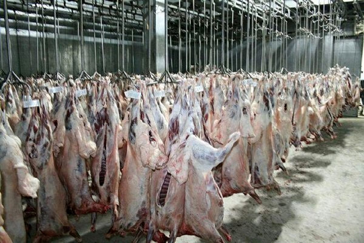تشکیل۶۵۰ پرونده تخلف گوشت مرغ و قرمز در آذربایجان غربی