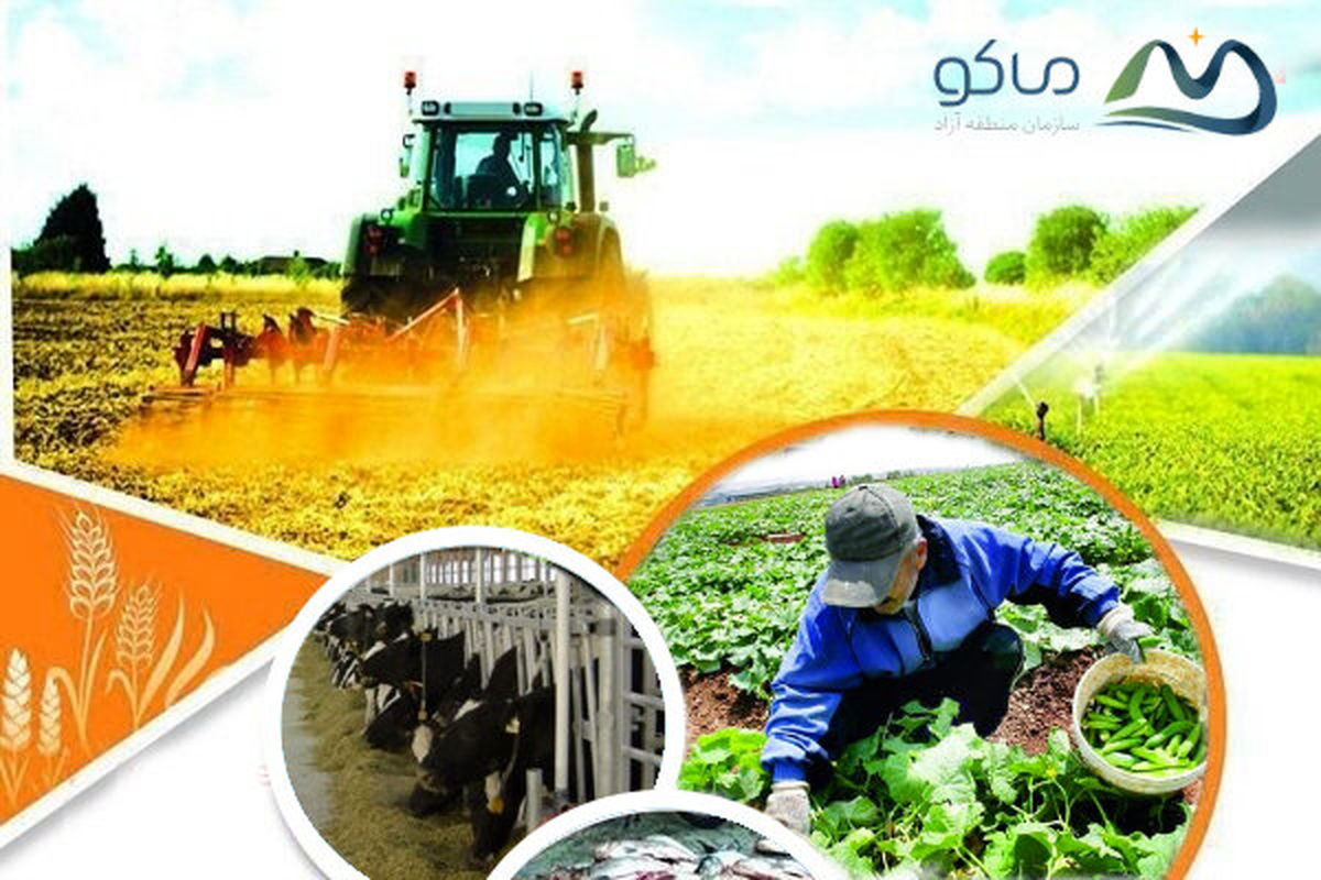 جذب بیش از ۱۶۰۰ میلیارد ریال سرمایه گذاری در بخش کشاورزی منطقه آزاد ماکو