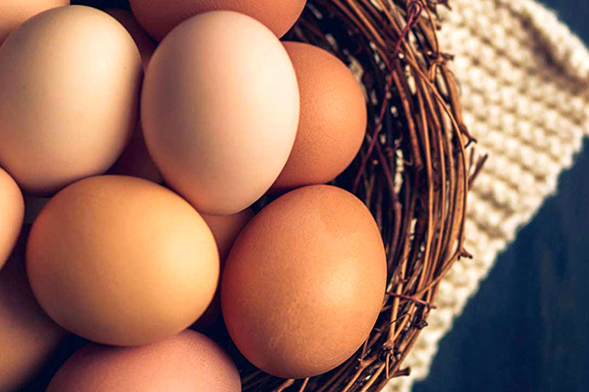 برای کاهش ابتلا به دیابت تخم مرغ بخورید