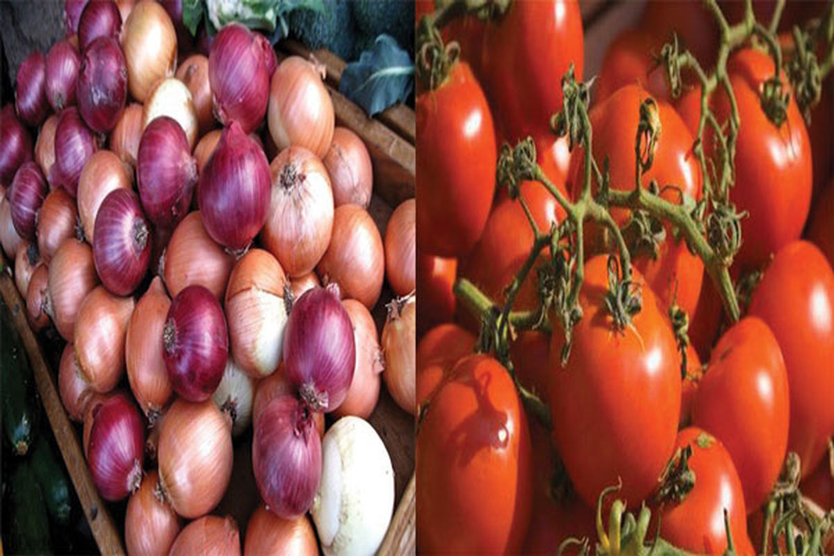 ساماندهی عرضه نهاده های دامی در استان تهران/ قیمت پیاز و گوجه فرنگی متعادل می شود