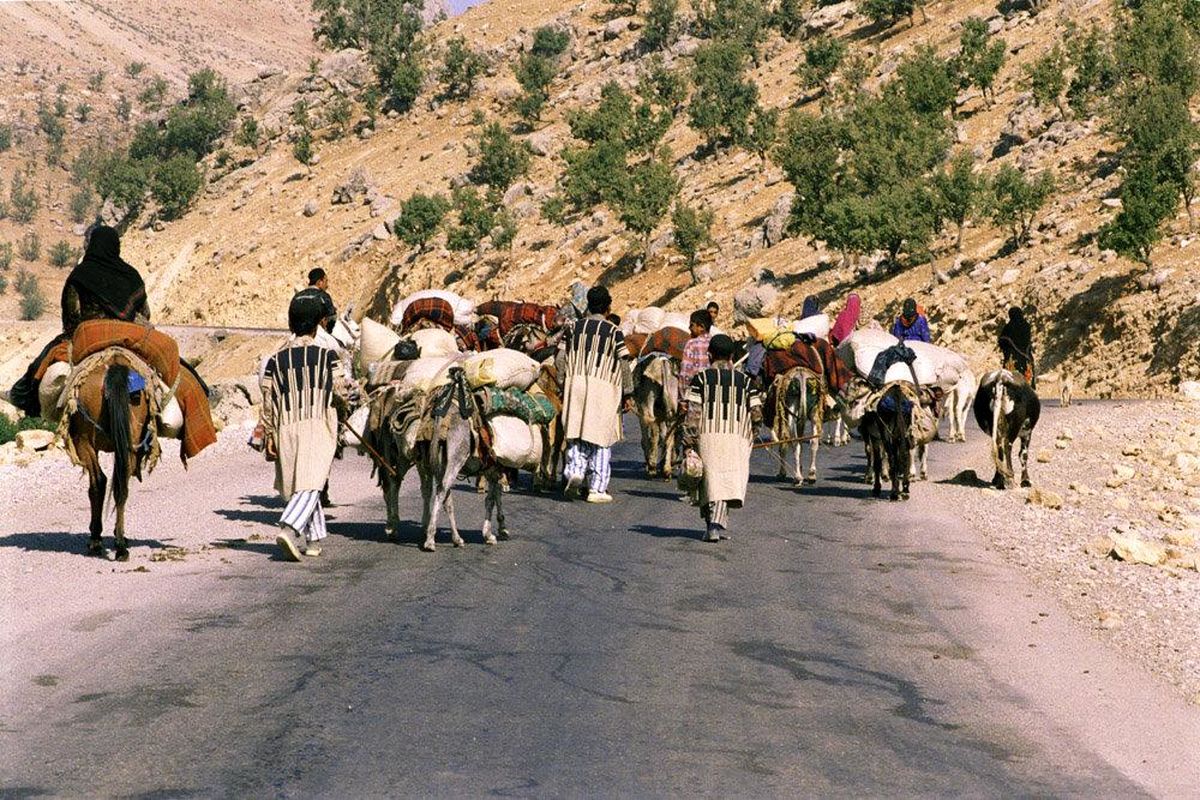 کوچ ۸۰۰ خانوار عشایری از کرمان به هرمزگان