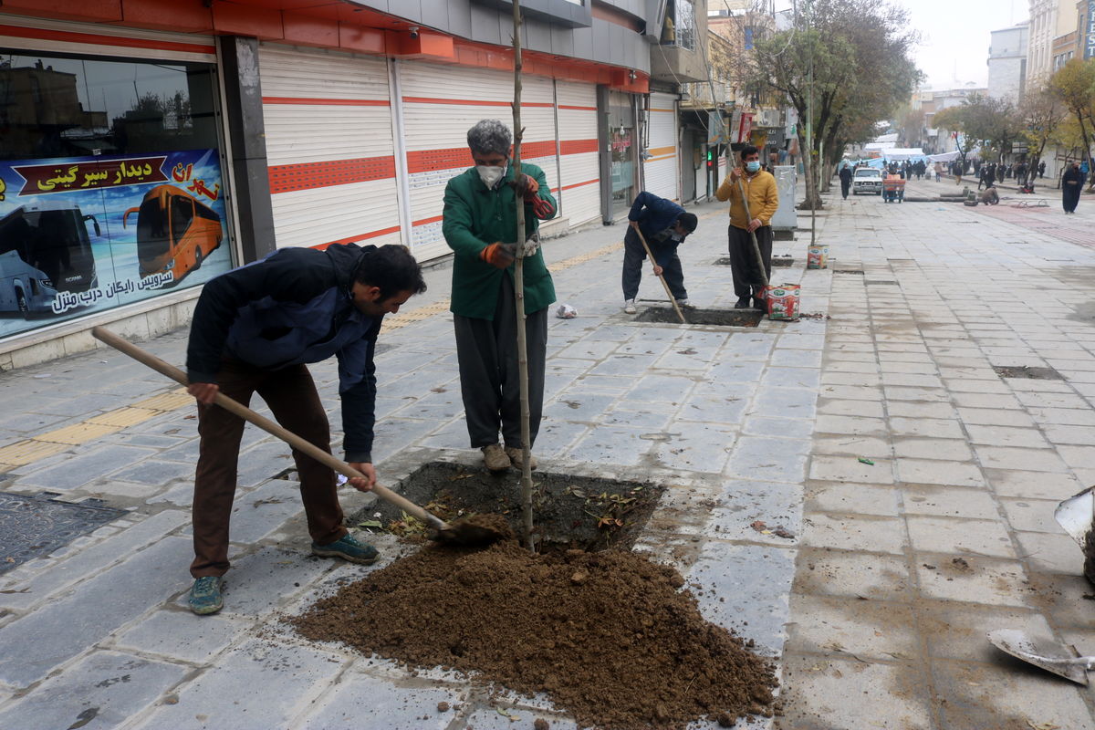 کاشت ۱۰۰ اصله نهال در  پیاده راه فردوسی در سنندج