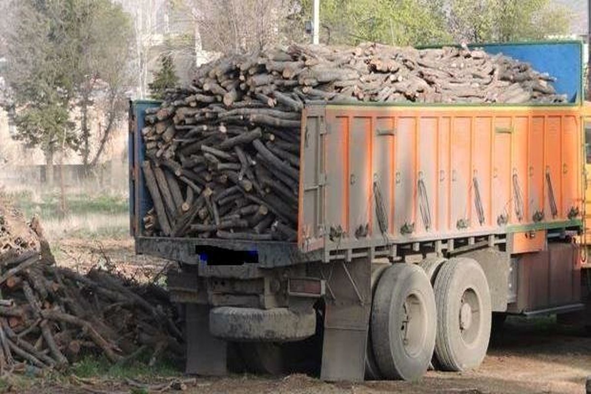 کشف ۴۰۰ میلیون ریال چوب جنگلی قاچاق در ملایر