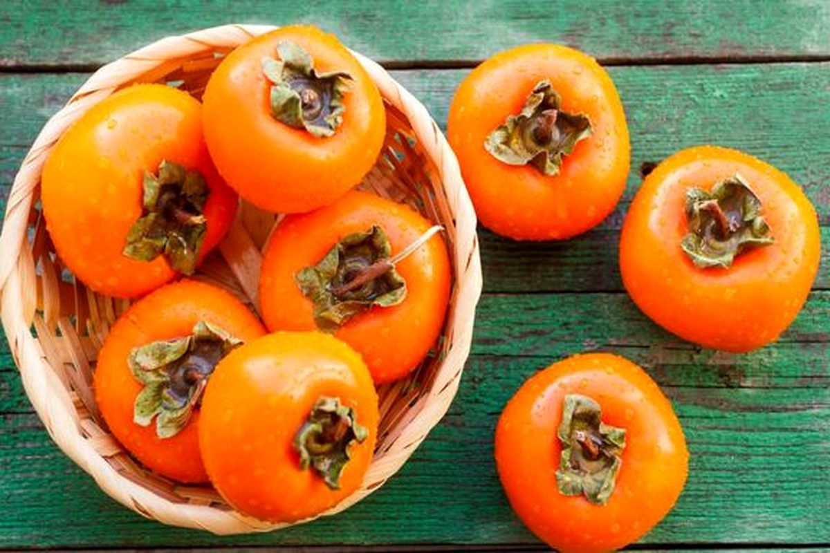 نارنجی محبوب فصل پاییز را بهتر بشناسیم
