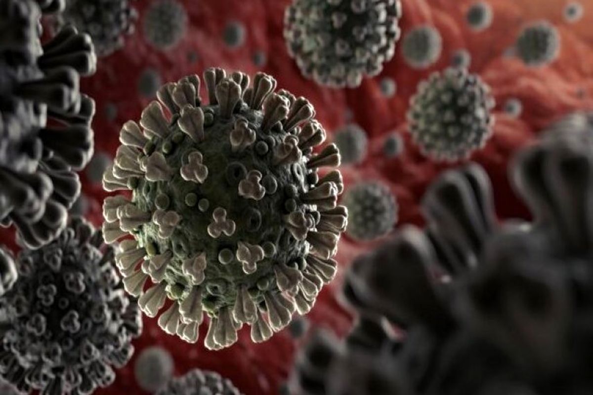 ویروس کرونا می‌تواند ماه‌ها در روده افراد باقی بماند!