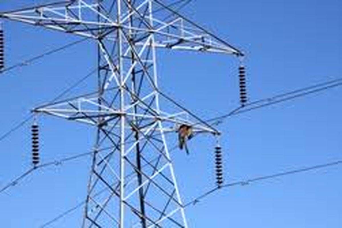 برگزاری موفق دوره آموزش مجازی مدیریت دارایی‌های فیزیکی