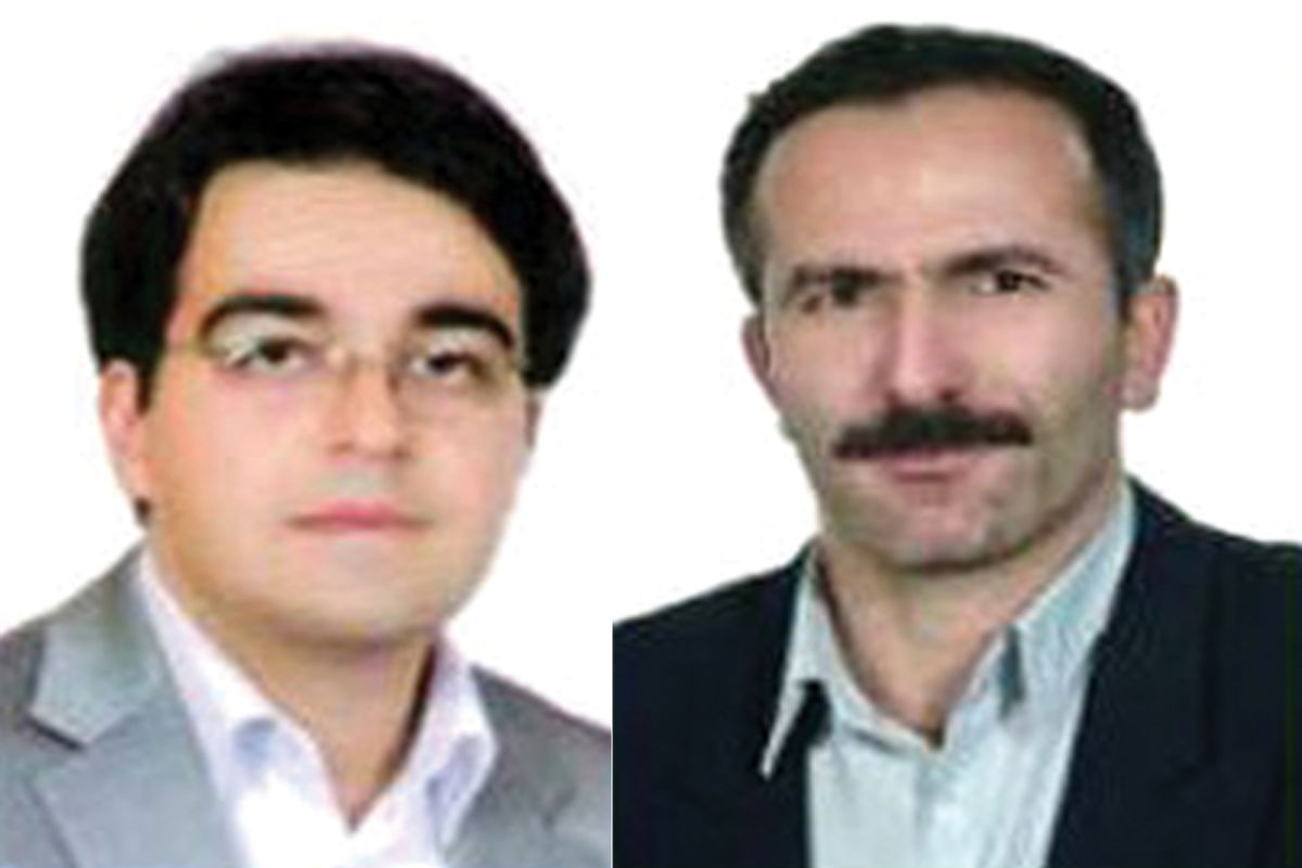 دو استاد دانشگاه زنجان در میان ۲ درصد دانشمندان پر استناد جهان قرار گرفتند