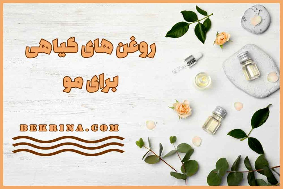 تقویت مو ؛ ۸ روغن گیاهی برای رشد و تقویت مو