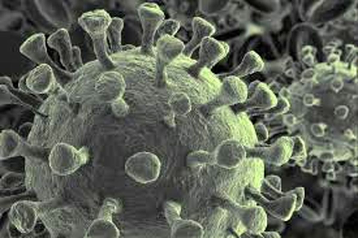 آیا واقعا گونه‌های جدید و جهش یافته کروناویروس در راه هستند؟