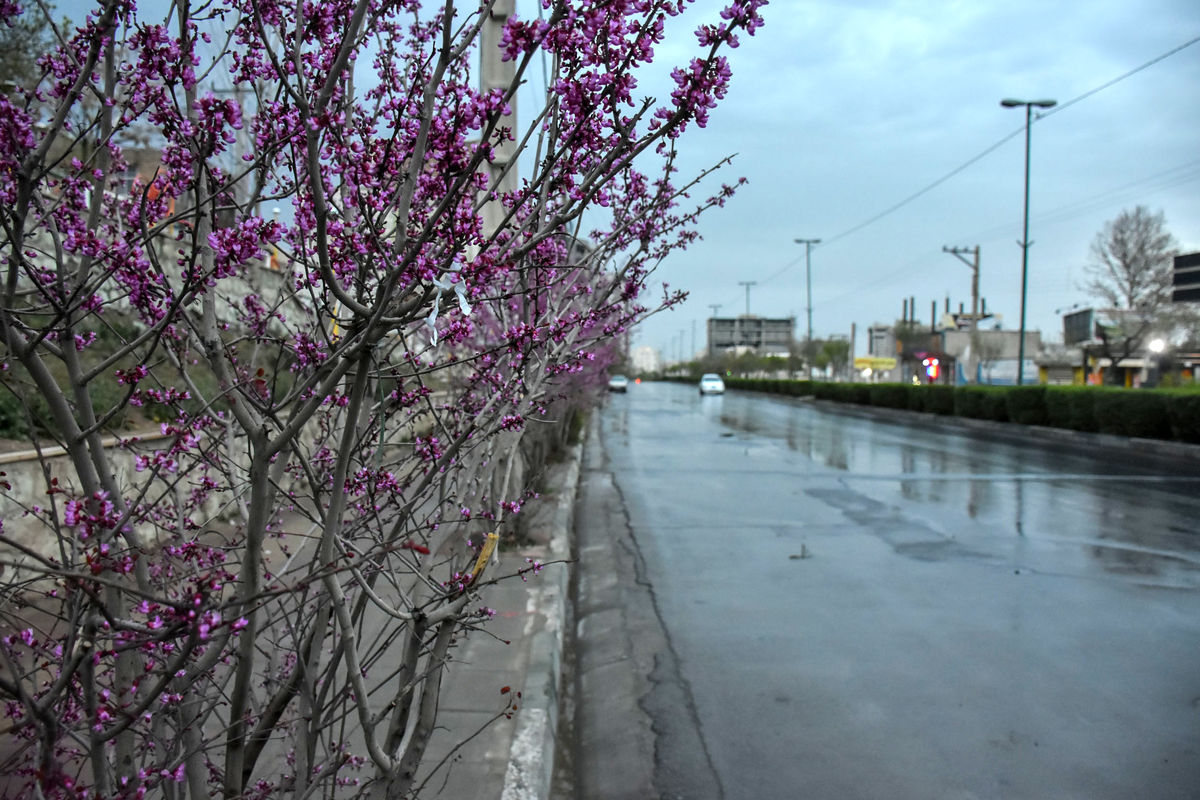 بارندگی در راه است/ آخرین وضعیت جوی پایتخت