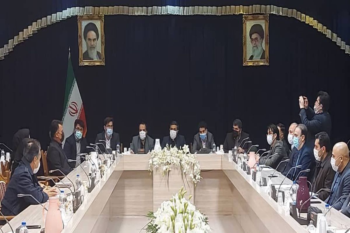 سید حامد عاملی: کمیته استانی تسهیل صدور مجوز واحدهای تولید دارو تشکیل می شود