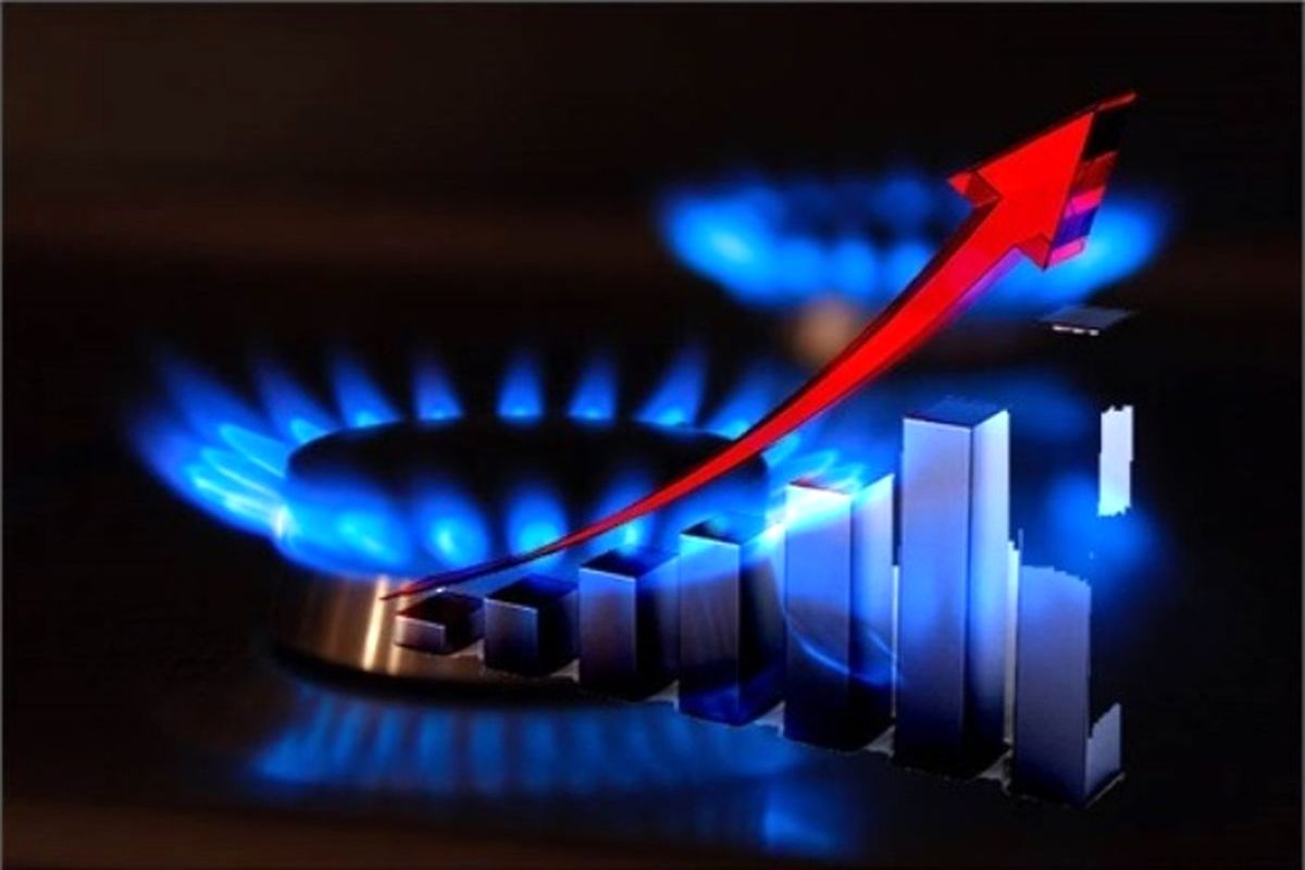 افزایش ۱۵ درصدی مصرف گاز در بخش خانگی