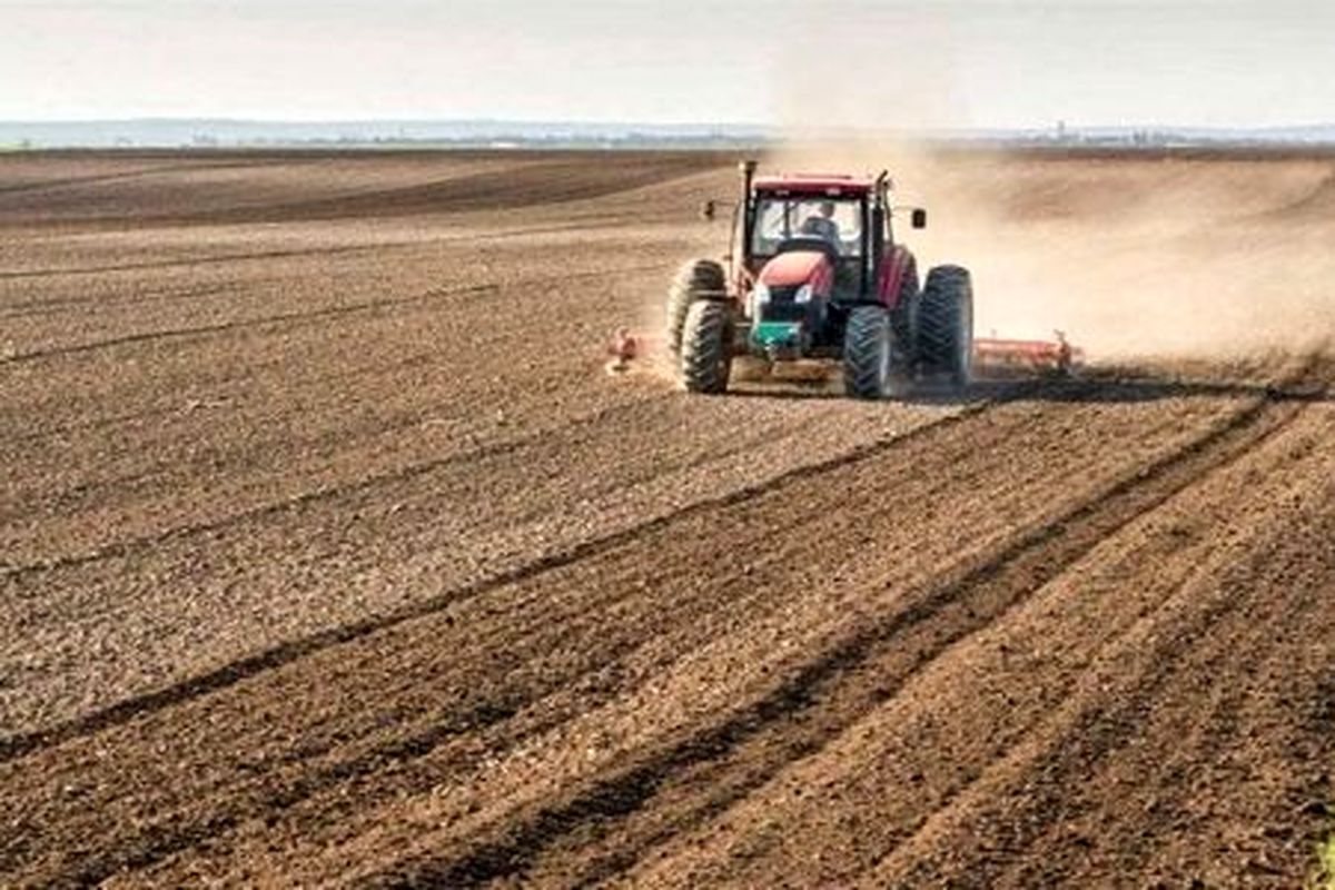 کشت قراردادی گندم در بیش از ۱۲ هزار هکتار از مزارع گندم آذربا‌یجان‌غربی