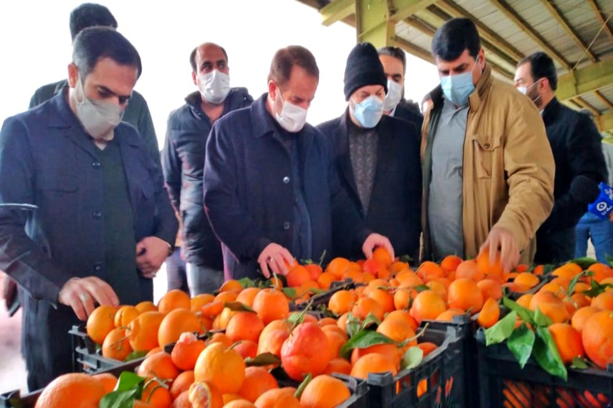 تاکید استاندار بر حمایت از میدان میوه و تره‌بار/ کاهش ۲۰ درصدی قیمت میوه در مرکز کهگیلویه و بویراحمد