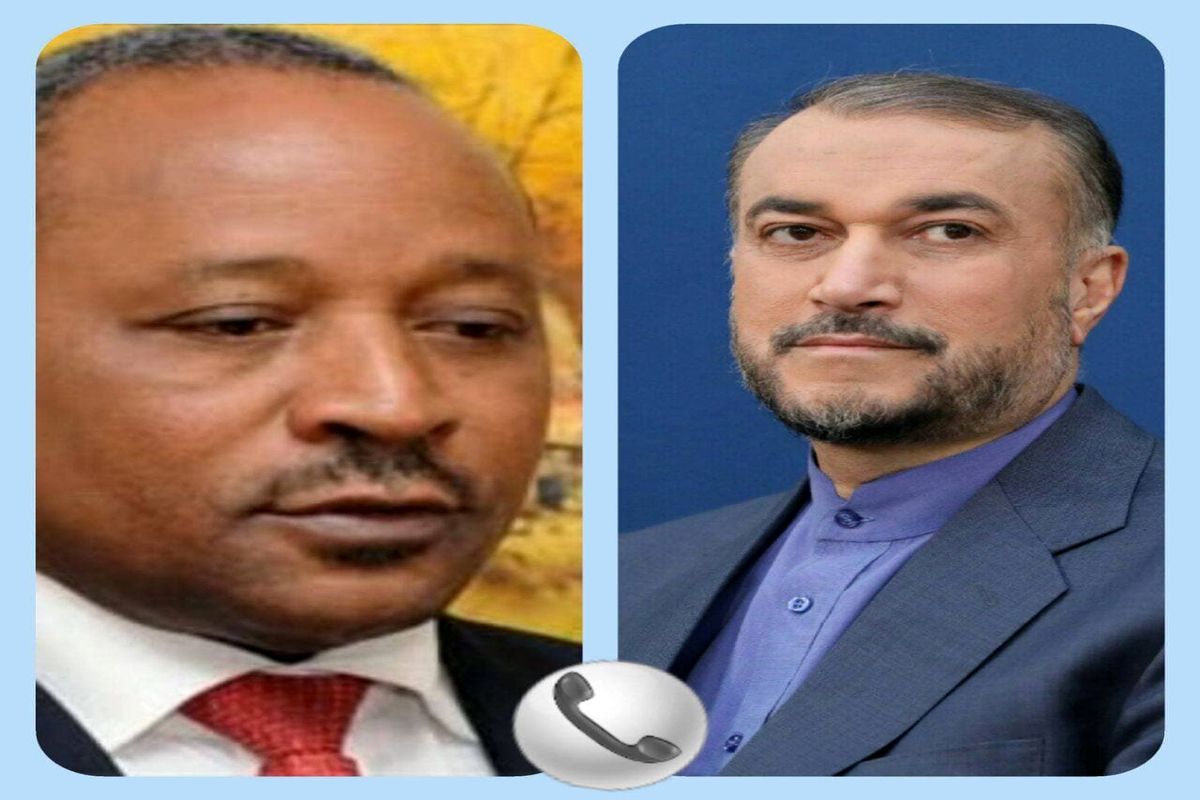 گفت‌وگوی تلفنی امیرعبداللهیان و وزیر خارجه نیجر
