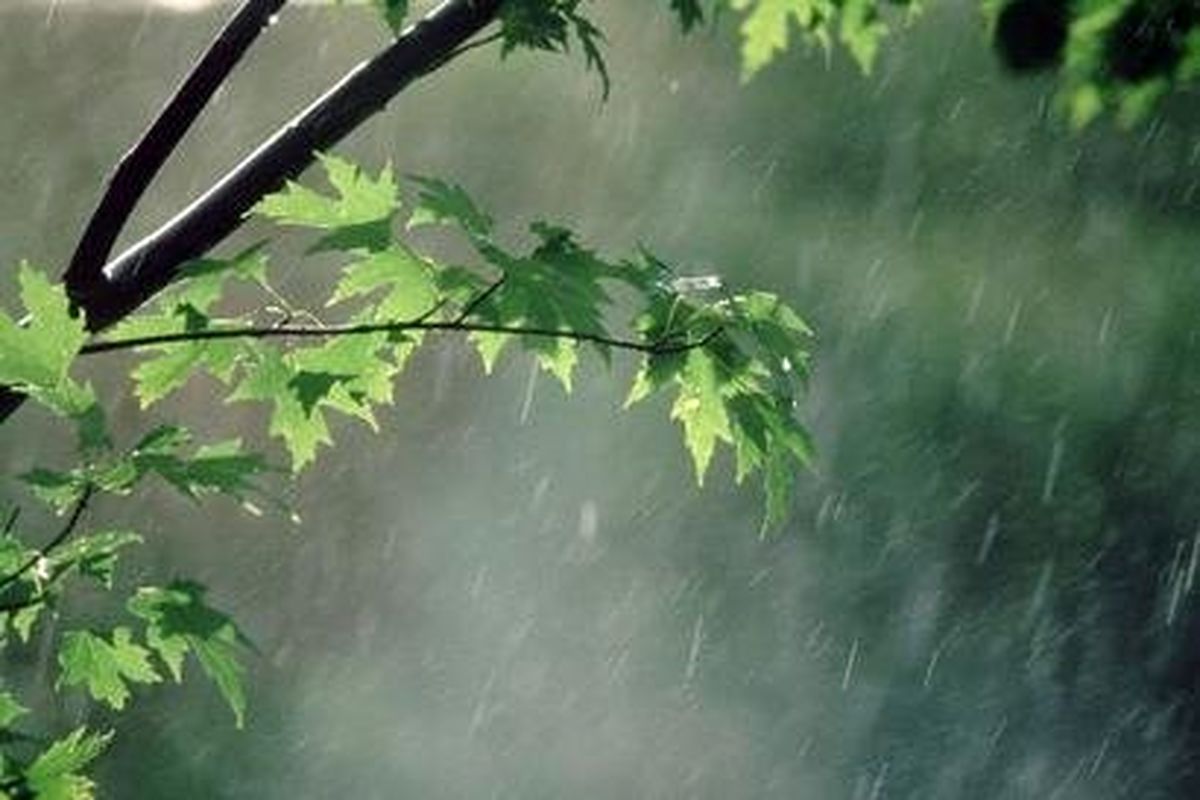 بارش باران تا ظهر امروز شنبه در استان قزوین ادامه دارد