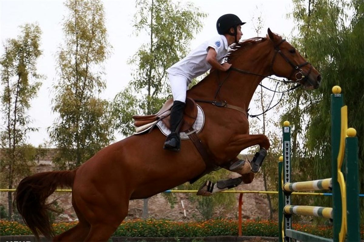 تبعات قرنطینه اسب‌های ایرانی روی موج «جهان ورزش»