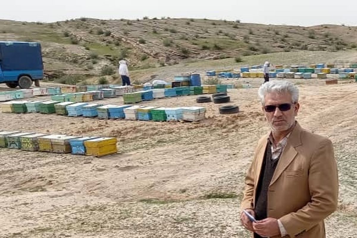 اجرای ۷ طرح زنبورداری در دهه فجر به نمایندگی از ۴۳ طرح اشتغالزایی منطقه یک یاسوج