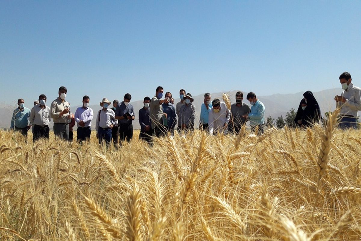 بهره‌برداران کشاورزی خراسان شمالی ۱۱ هزار نفر روز آموزش دیدند
