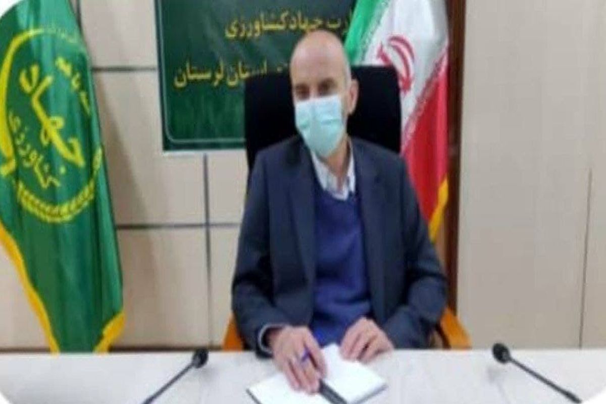 وابسته بودن  ۴۰ درصداز  اقتصاد و اشتغال لرستان به کشاورزی